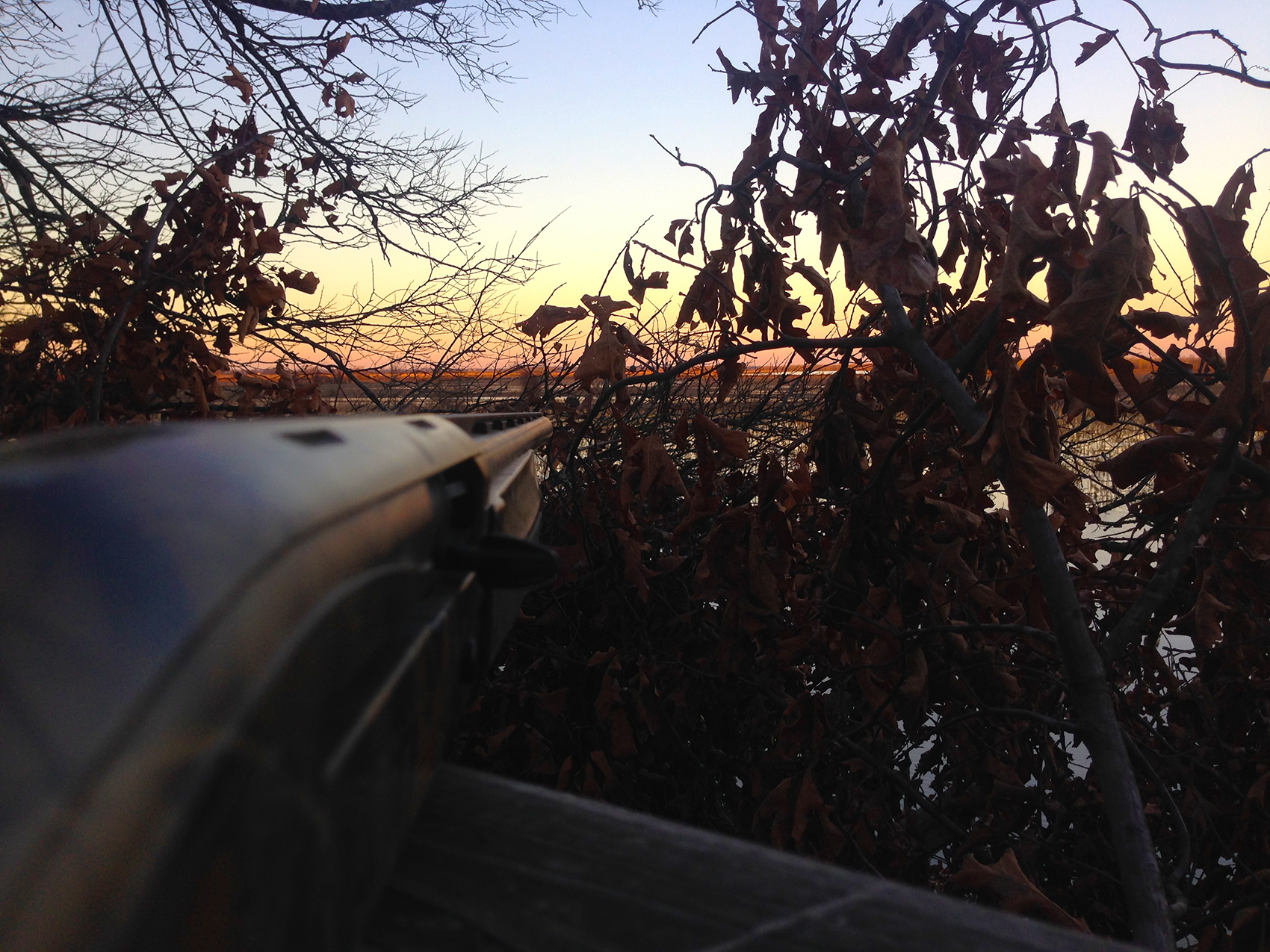 gunsunsetedit Delta Duck Hunts